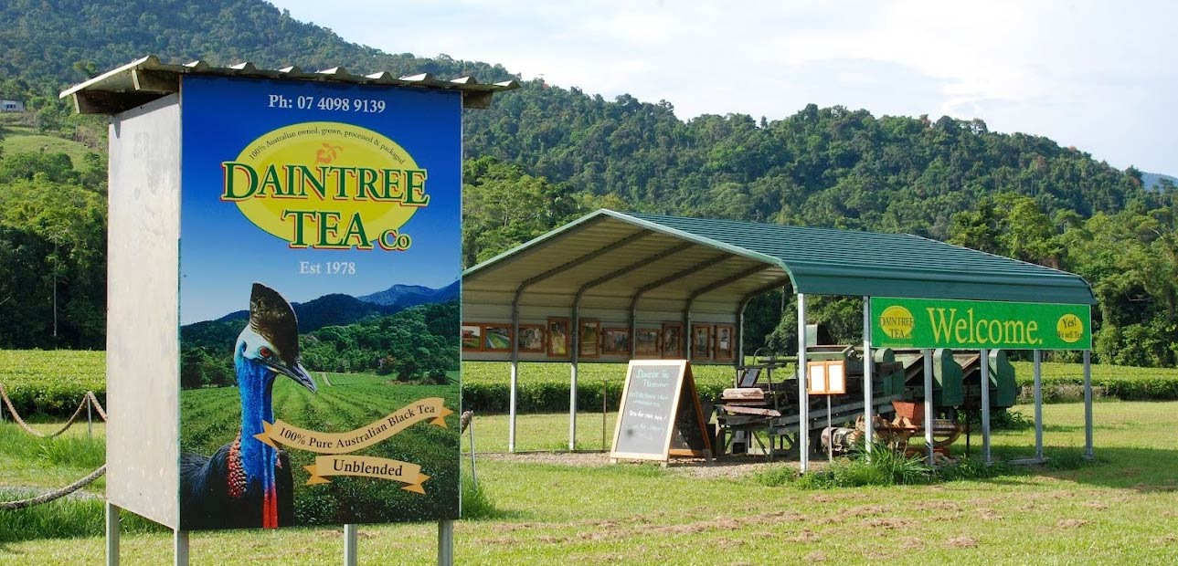 Daintree Tea Farmgate Stall